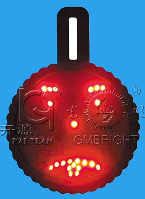 DRIVEMOCION   GM-LED-BQ02